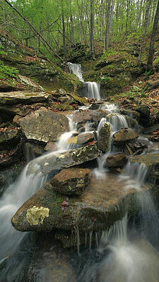 Wall Art - Photograph - Cascading Creek Mulberry River Arkansas by Tim Fitzharris