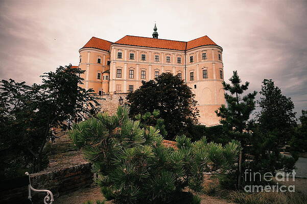 Castle by Michal Aniol