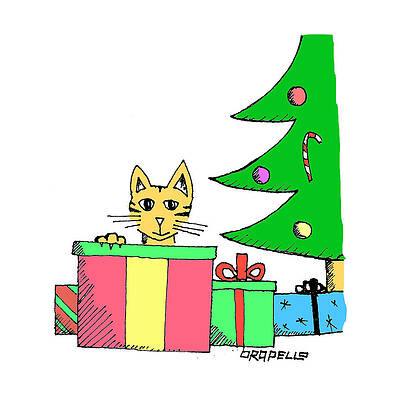Cat in a Box by Dan  Orapello