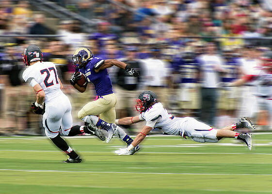 Wall Art - Photograph - Catch Me If You Can by Rob Li