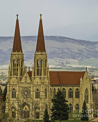 Cathedral of St Helena by Sue Smith Cathedral of St Helena by Sue Smith
