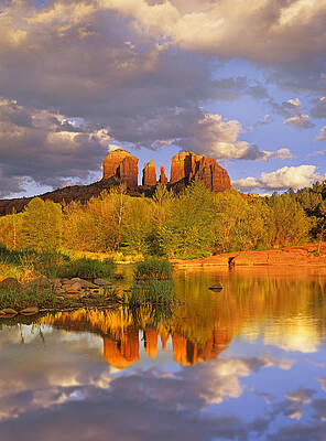Wall Art - Photograph - Cathedral Rock Reflected In Oak Creek by Tim Fitzharris