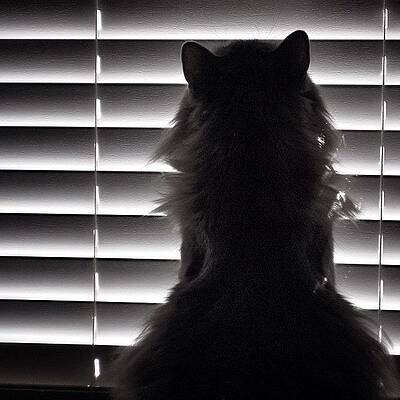 Wall Art - Photograph - Cat's Eye View --- Check Out More Of by Mark David Gerson