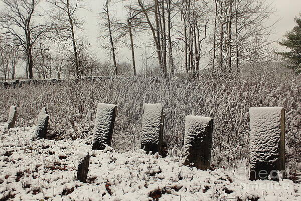 Cemetary in Winter by Christopher Jones