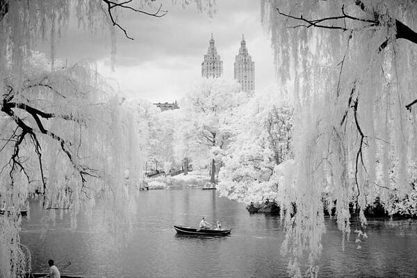 Central Park Lake-Infrared Willows by Dave Beckerman Central Park Lake-Infrared Willows by Dave Beckerman