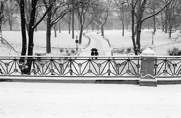 Central Park Snow by Dave Beckerman Central Park Snow by Dave Beckerman
