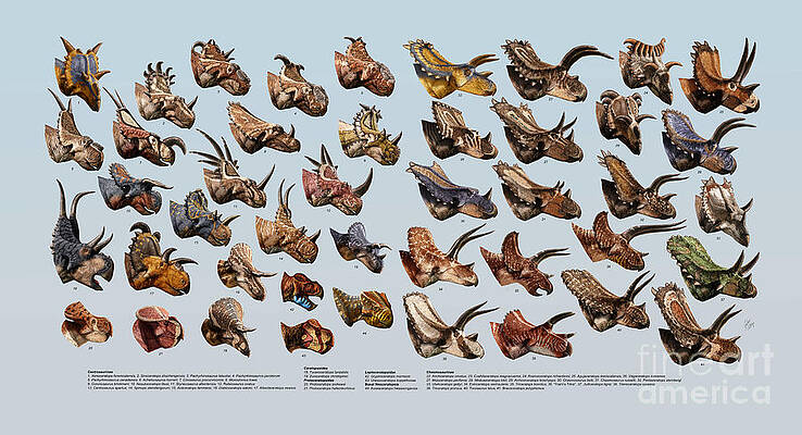 Ceratopsian Cornucopia by Julius Csotonyi Ceratopsian Cornucopia by Julius Csotonyi