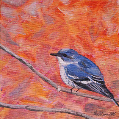 Cerulean Warbler - Birds in the Wild by Arlissa Vaughn Cerulean Warbler - Birds in the Wild by Arlissa Vaughn