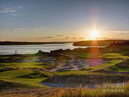 Chambers Bay Sun Flare - 2015 U.S. Open by Chris Anderson Chambers Bay Sun Flare - 2015 U.S. Open by Chris Anderson
