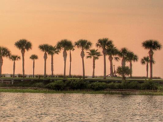 Changes in Attitude by Cyndy Beach