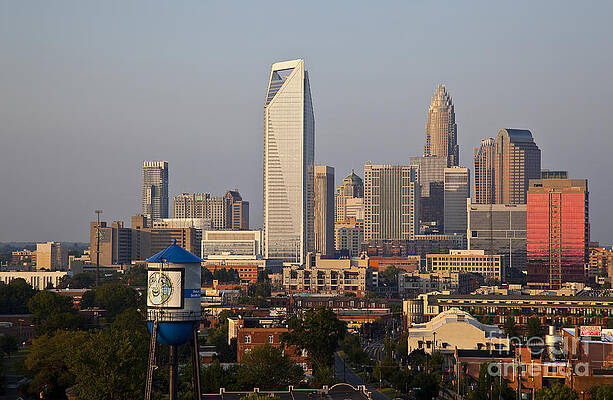 Wall Art - Photograph - Charlotte in the Late Afternoon by Jill Lang