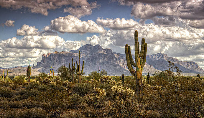 Chasing Clouds Two by Saija Lehtonen Chasing Clouds Two by Saija Lehtonen