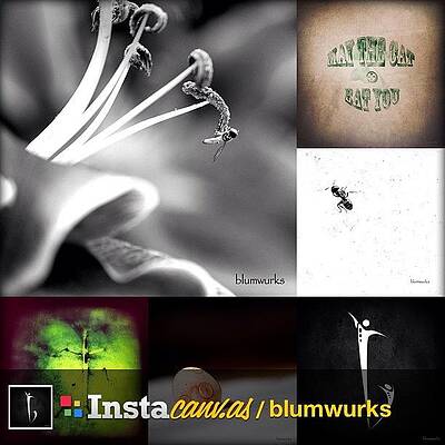 Wall Art - Photograph - Check Out My Instacanvas Gallery : by Matthew Blum