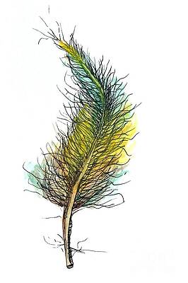 Cheerful Feather by Anne Clark Cheerful Feather by Anne Clark