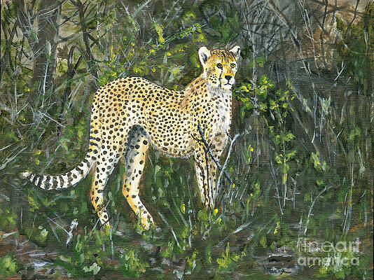 Cheetah Painting by Timothy Hacker Cheetah Painting by Timothy Hacker