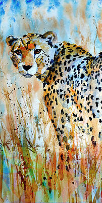 cheetah by Steven Ponsford cheetah by Steven Ponsford