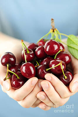 Wall Art - Photograph - Cherries by Elena Elisseeva
