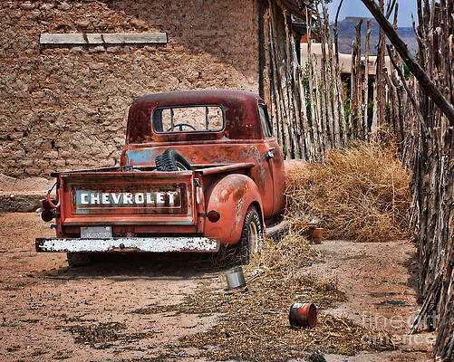 Spanish Tumbleweed by Nhpa