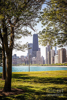 Wall Art - Photograph - Chicago Skyline and Hancock Building Through Trees by Paul Velgos