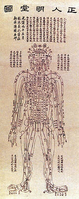 Wall Art - Photograph - Chinese Acupuncture Chart, 1906 by Science Source