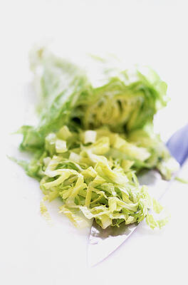 Wall Art - Photograph - Chinese Cabbage by Science Photo Library