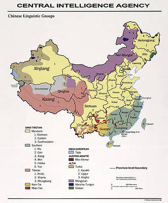 Chinese Linguistics C I A Map  by COMPASS ROSE MAPS