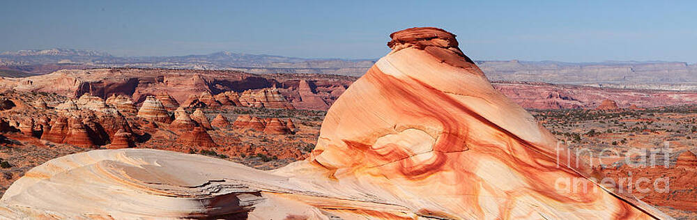 Wall Art - Photograph - Chocolate Swirl Pano by Bill Singleton