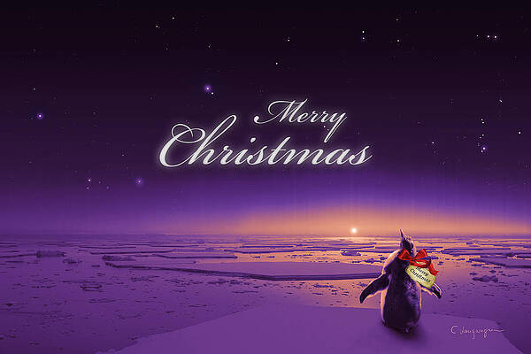 Christmas Card - Penguin purple by Cassiopeia Art Christmas Card - Penguin purple by Cassiopeia Art