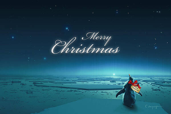 Christmas Card - Penguin turquoise by Cassiopeia Art Christmas Card - Penguin turquoise by Cassiopeia Art