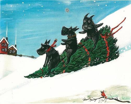 Christmas Day Scottie Style by Margaryta Yermolayeva Christmas Day Scottie Style by Margaryta Yermolayeva