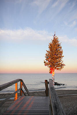 Wall Art - Photograph - Christmas Tree At The End Of Sandwich by Susan Pease
