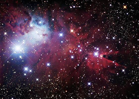 Wall Art - Photograph - Christmas Tree Cluster (ngc 2264) by Science Photo Library