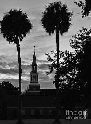 Church and Cat Await Autum's Even by Wayne Nielsen Church and Cat Await Autum's Even by Wayne Nielsen