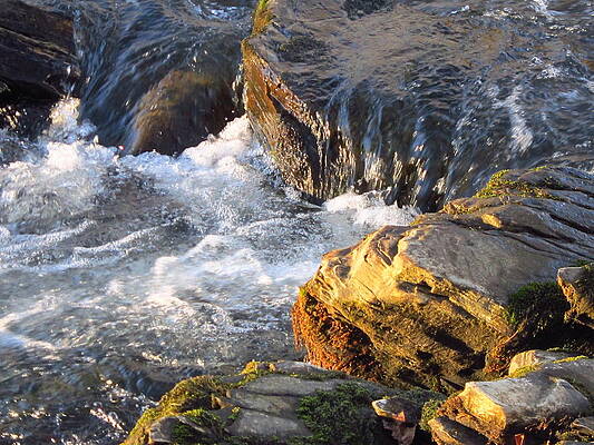 Churning Little Waterfalls on the Watauga by Cynthia Clark Churning Little Waterfalls on the Watauga by Cynthia Clark