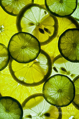 Wall Art - Photograph - Citrus Fruit by William H. Mullins