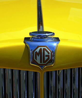 Classic MG Grill Yellow by Jeff Lowe Classic MG Grill Yellow by Jeff Lowe