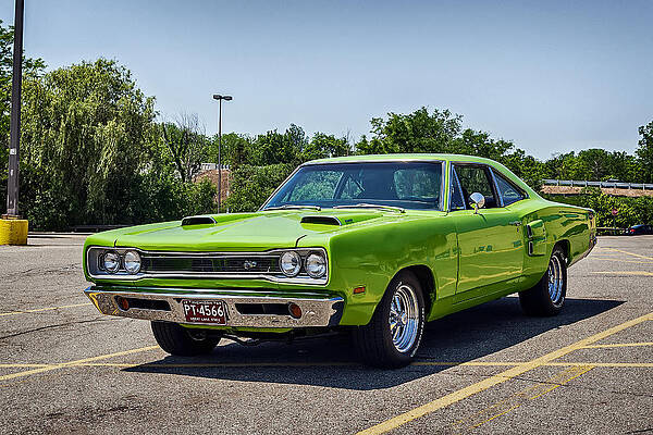 Classic Muscle by Sennie Pierson Classic Muscle by Sennie Pierson