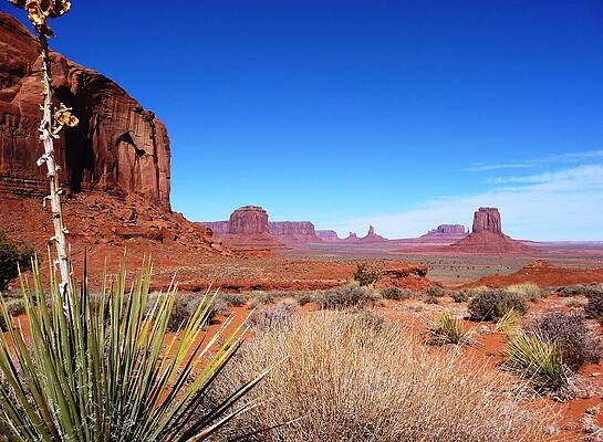 Classical Desert by Darrel Henderson