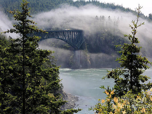 Clearing fog by Jeff Loh Clearing fog by Jeff Loh