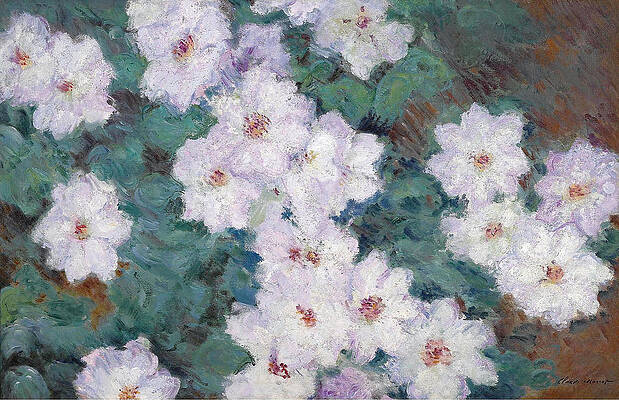 Clematises Print by Claude Monet