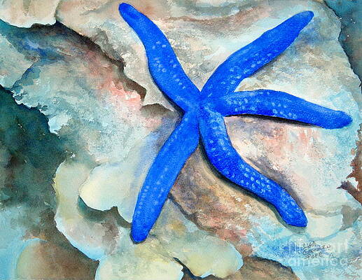 Clinging to the Reef by Lisa Pope Clinging to the Reef by Lisa Pope
