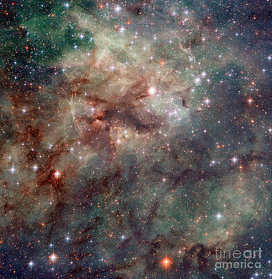Wall Art - Photograph - Close-up Of The Tarantula Nebula by Science Source