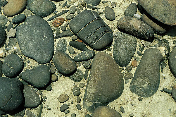Wall Art - Photograph - Close-up Of Wind Eroded Pebbles In A Desert by Science Photo Library