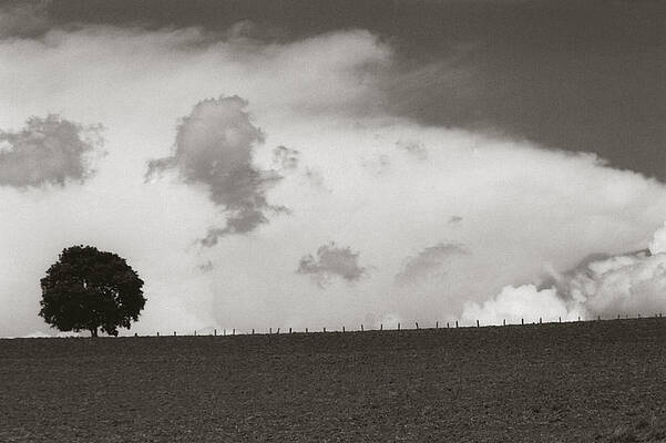 Clouds by Amarildo Correa Clouds by Amarildo Correa