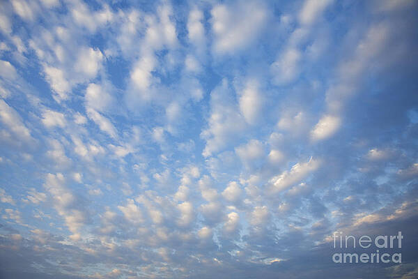 Wall Art - Photograph - Clouds by David Davis