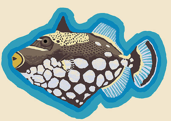 Clown Triggerfish by David Burkart Clown Triggerfish by David Burkart