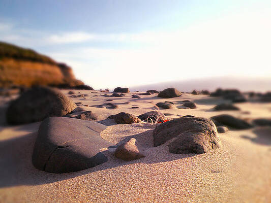 Wall Art - Photograph - Coastal Terrain by Micki Findlay