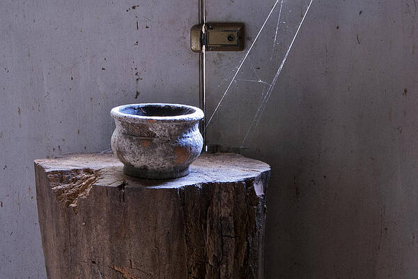 Wall Art - Photograph - Cobwebs by Carol Erikson
