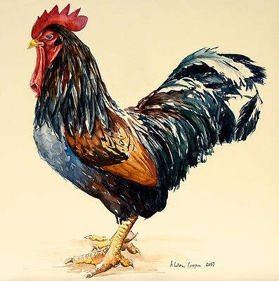 Wall Art - Painting - Cockerel by Alison Cooper