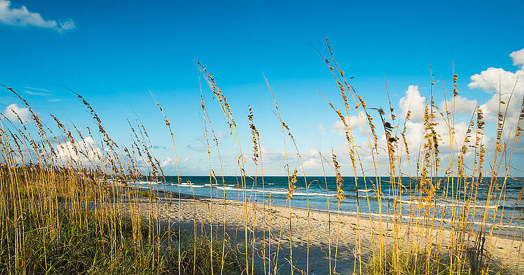 Wall Art - Photograph - Cocoa Beach by Raul Rodriguez